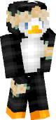 new minecraft skin