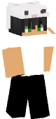 new minecraft skin