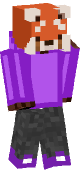 new minecraft skin