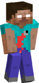 new minecraft skin