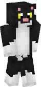 new minecraft skin