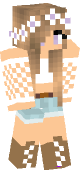 new minecraft skin