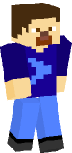 new minecraft skin