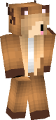 new minecraft skin