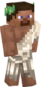 new minecraft skin