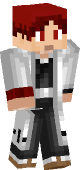 new minecraft skin