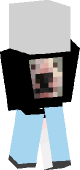 new minecraft skin