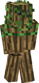 new minecraft skin