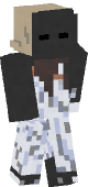 new minecraft skin