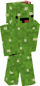 new minecraft skin