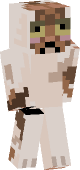 new minecraft skin