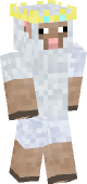 new minecraft skin