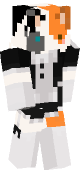 new minecraft skin