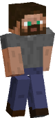 new minecraft skin