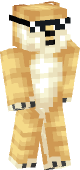 new minecraft skin