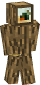 new minecraft skin