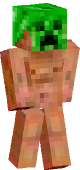 new minecraft skin