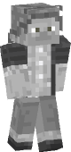 new minecraft skin