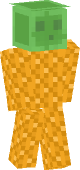 new minecraft skin