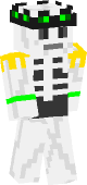 new minecraft skin