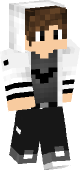 new minecraft skin