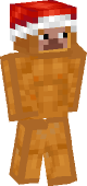 new minecraft skin