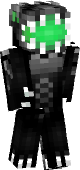 new minecraft skin