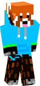 new minecraft skin