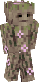 new minecraft skin