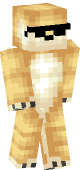 new minecraft skin