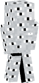 new minecraft skin