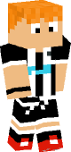 new minecraft skin