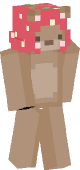 new minecraft skin