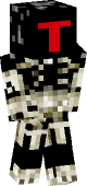 new minecraft skin