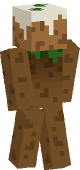 new minecraft skin